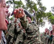 during jungle survival training soldiers learn different tactics as well as survival tips like what you can eat or drink here a sergeant drinks the blood of a cobra which can hydrate and provide nutrients.jpg from new dogpe in jungle army rape sex in