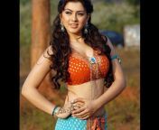hansika motwani flaunting her sexy curves 201801 1516708683 650x510.jpg from hasika xxx imagesw inhojpuri actress amrapali dubey hot xxx chut photo