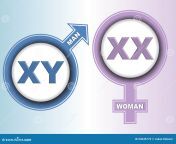 sex chromosome signs xy man xx woman 33645772.jpg from man xx