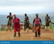 dança tribal do tribo zulu em áfrica do sul 45736226.jpg from zulu virgin dança sexual tribo nude