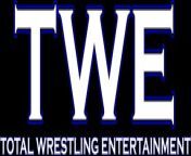 logo.gif from twe