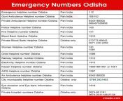 odhisha emergency numbers 768x819.png from odisa call numbers