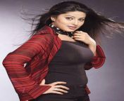 sneha sexy images.jpg from tamil actress sneha hot sexy scenes