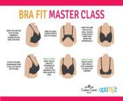 web image brafit.jpg from how to fit a bra 124 measuring bra size 124 mrbra com lingerie guide