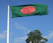 flag of bangladesh 577x800.jpg from bangladeshi pole
