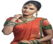 nanditha swetha saree stills with traditional nanditha photoshoot.jpg from nanditha raj nude sex fuckingà§à¦¯à¦¼Â§