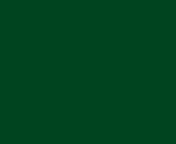 2880x1800 up forest green solid color background.jpg from green
