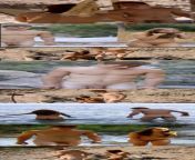 danish tv reality adam eve naked guy.jpg from naked actor pics in danisch cinema