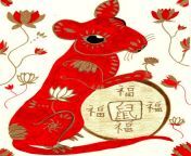 chinese zodiac rat.jpg from tu chinese ra