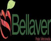 logo.png from bellaver
