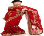 garnetred sari with large ari embroidered flowers sai75.jpg from com indian sar