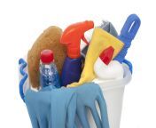 domestic cleaningproducts.jpg from cleaning1 jpg