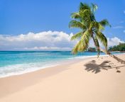 331269 nature landscape tropical island beach palm trees sea sand clouds summer madagascar.jpg from island