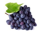 grapes 02.jpg from gropesx