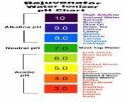 ph color chart large small.jpg from ph page