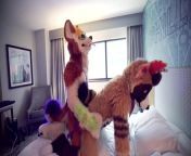 preview.jpg from corey coyote porn