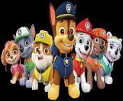 1508453421paw patrol all characters.png.png from pawpatrol