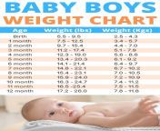 baby weight chart boys.jpg from yr kg