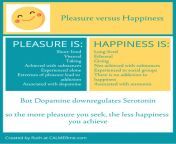 pleasure vs happiness 878x1024.png from about your pleasur