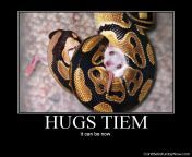 junr m 42 .jpg from snake hug