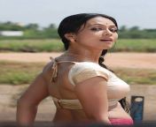 259hhso7g5jgulc1 d 0 hot tamil actress sana khan spicy in half saree blouse hottamilactresseshub blogspot com 1.jpg from sana kumar sex kh