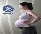 36weeks forweb.jpg from hifiporn cc my pregnant and widow step mom p21