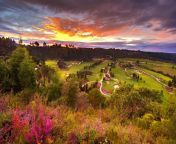 simola golf and country estate sunset 590x390.jpg from simola