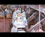hqdefault.jpg from dolcett meat processing plant pornlyplay