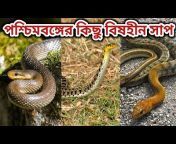 hqdefault.jpg from snakes shane xxx bengal ra sex