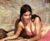 48c7e859657faeaa8b8bcbca5453ddbc.jpg from bollywood actress zeenat aman nude fakesasaia boob sex xxx