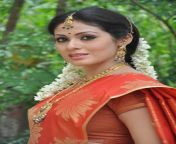297316xcitefun telugu actress sada in saree photos 3.jpg from telugu actar sada