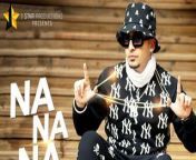 srch pplchandigarh 410008.jpg from song na na na na download