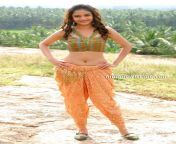 sheena hot bindaas navel2.jpg from bollywood actress sheena green xxx fuc