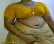 south indian aunty saree navel pics.jpg from south indian saree aunty nude