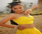 hot tamil actress sindhutoolani navel show photos 123actressphotosgallery com 02.jpg from pagalworld tamil hd hot