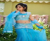 actress madhavi latha hot and cute navel show stills 7.jpg from cute woman cute navel expose scene again navel lehenga hot