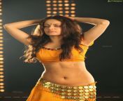 sneha ullal actio 3d hot1.jpg from tamil actress sneha ullal sexy photo