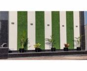 artificial outdoor green wall 500x500.jpg from pakistani outdoor
