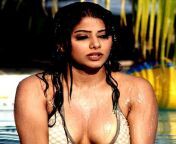 priyamani.jpg from tamil actress without dressing