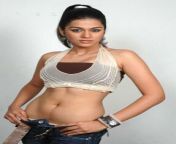 south indian actress hot navel show photos 37.jpg from tamil actress roja hot bootyw xxx bhaisw bangla dashi school sex with privet teachir