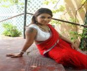 actress sri reddy stills in red saree 17.jpg from mallu milky boobs 3gp