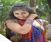 tanushree chatterjee bhojpuri actress.jpg from bhojpuri actress tanushree nudeon muo video xxxz
