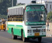 mtcbuses.jpg from mtc bus