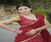 swetha tamil actress hot 01.jpg from desi bhabi swetha sree on cam part 4