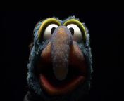 the muppets the great gonzo desktop background wallpapers vvallpaper net.jpg from gonzo