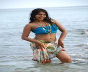 bindhu madhavi in bikini 3.jpg from shalini nudeess bindhu madha