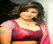 geethanjali ppg 31.jpg from south heroine