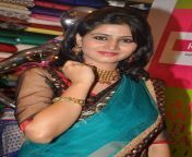 shamili agarwal photos in saree tollywoodtv 10.jpg from actress sharmili
