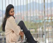 tamil actress amala paul latest cute stills20.jpg from actress oin