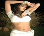 ramya hot actress in white blouse hot hip navel pic.jpg from ramya hot hip